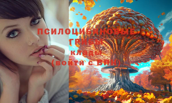кокаин премиум Алзамай