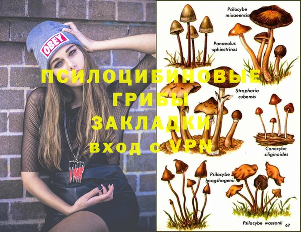 тгк Каменногорск