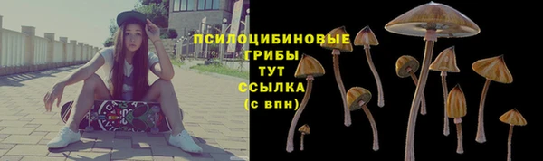 амф Абинск